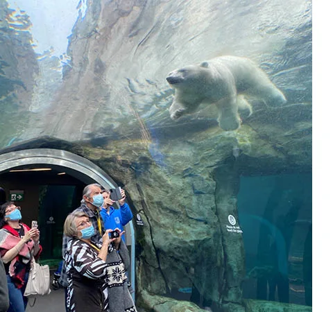 Zoo eNews