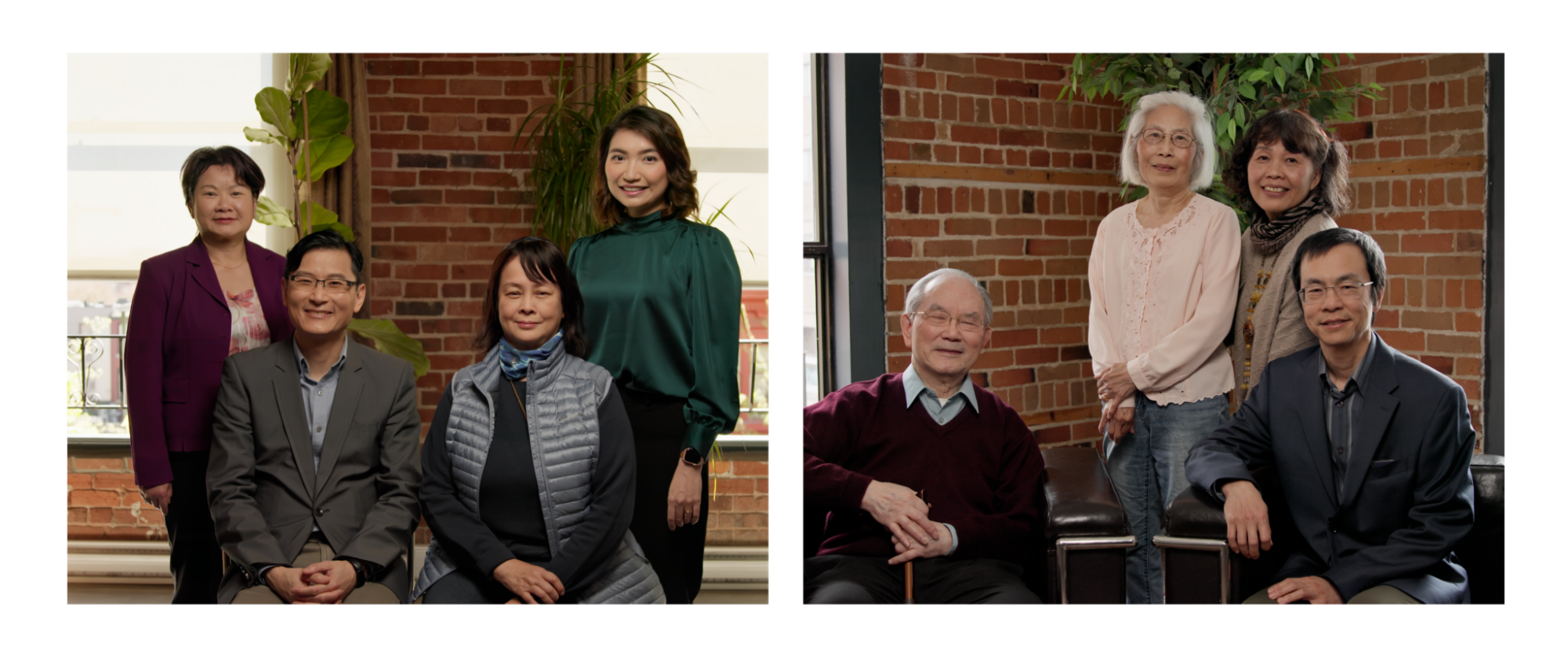 Dementia in the Chinese Community