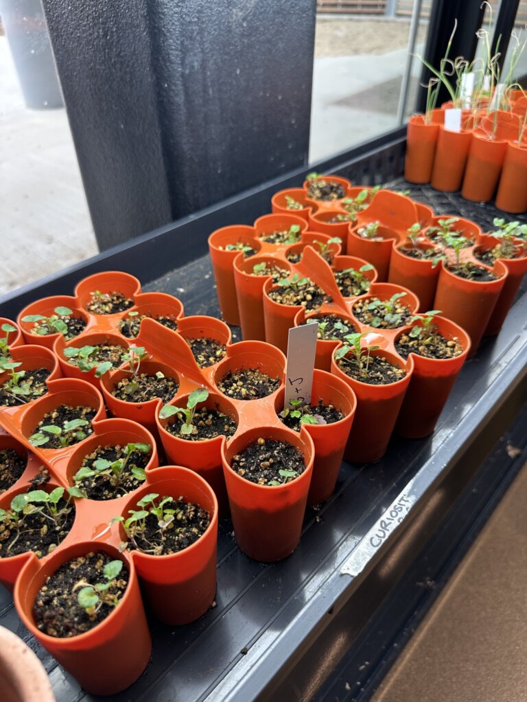 Living Well Program at The Leaf