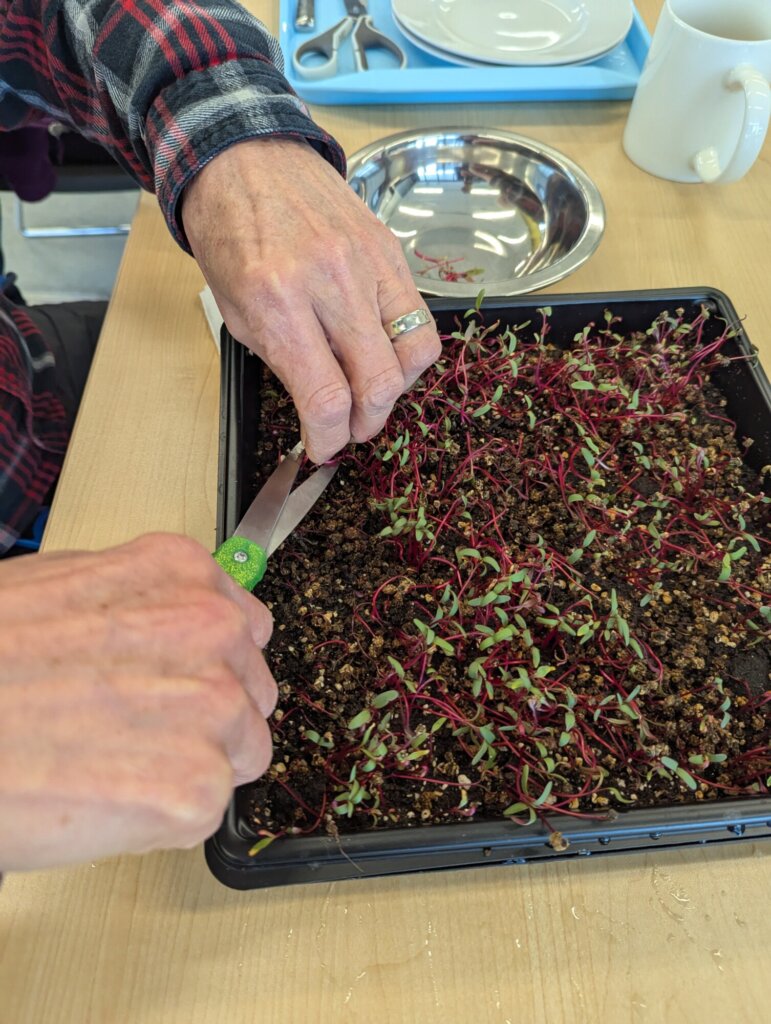 Living Well Program at The Leaf