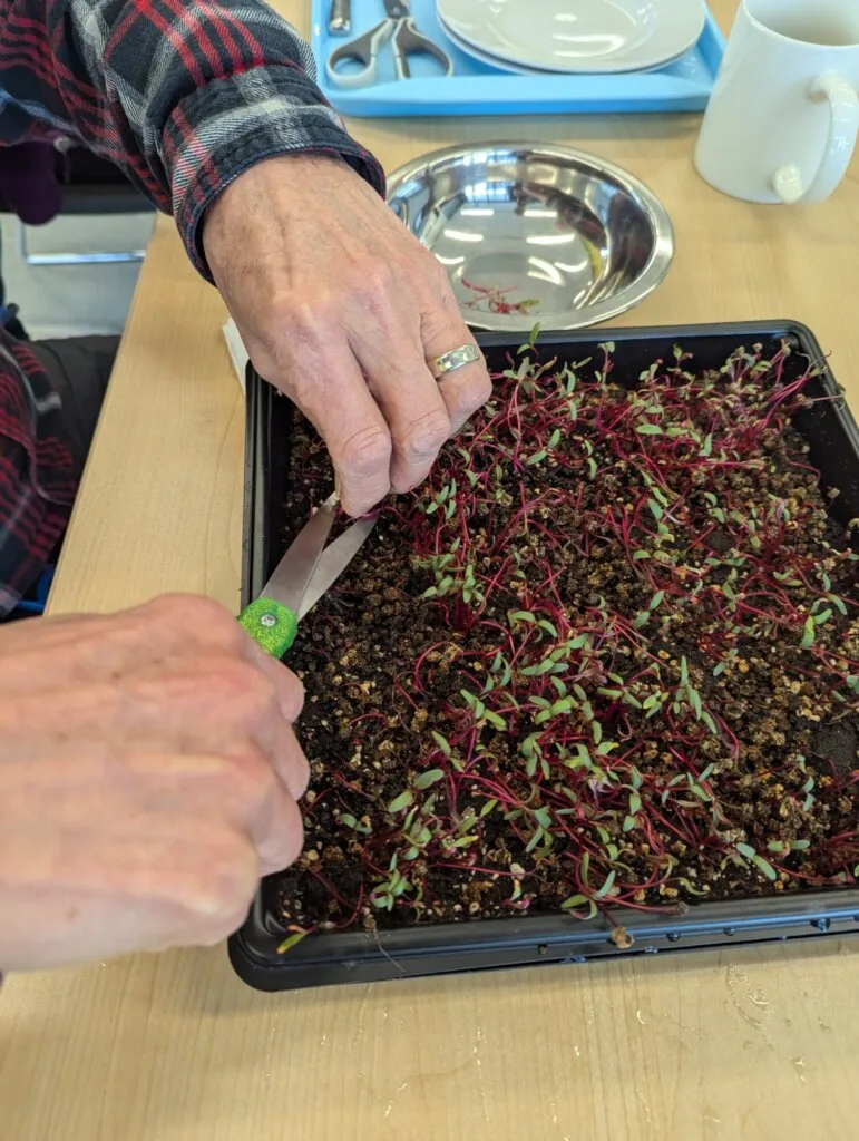Living Well Program at The Leaf