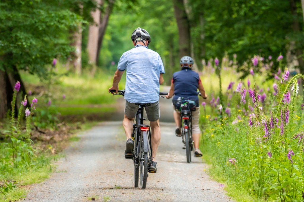 Reduce Your Risk of Dementia with Physical Activity