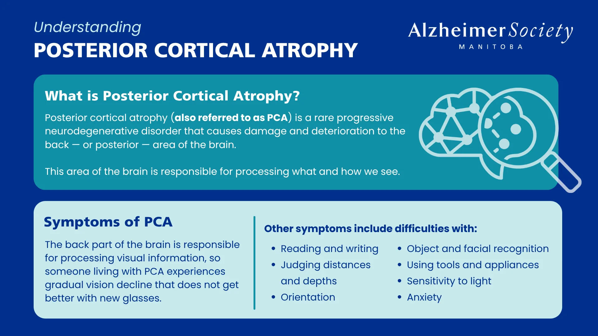 Posterior cortical atrophy (also referred to as PCA) is a rare progressive neurodegenerative disorder that causes damage and deterioration to the back — or posterior — area of the brain. This area of the brain is responsible for processing what and how we see.